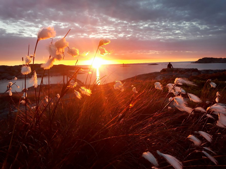 Utö. Kuva Mimmi Jurvanen.