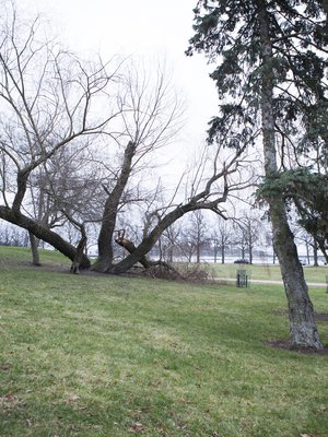 Suomessa ilmastonmuutos näkyy esimerkiksi lumettomina talvina. ”72 prosenttia suomalaisista näkee ympäristön puolesta toimimisen tärkeäksi. On halu, mutta ei konsteja”, sanoo Sitran johtava asiantuntija Anu Mänty.