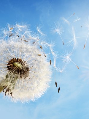 Ajatusten selkiyttäminen auttaa päästämään turhista murheista irti.