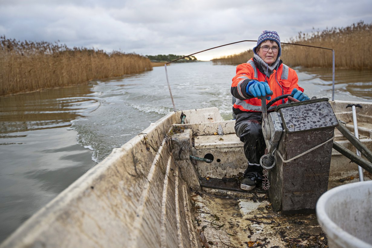 Liisa Vainio, 63, on kolmannen polven kalastaja ja asuu Taivassalossa. Työ koostuu suomukalan kalastuksesta verkoilla, kirjolohen kylmäsavustuksesta ja omien kalajalosteiden kuten maustettujen silakoiden, kalapihvien ja munkkitaikinaan leivottujen ahvenpötkösten valmistuksesta ja myynnistä.