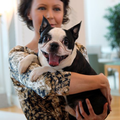 Bostoninterrieri Lennu saapui Jenni Haukion ja Sauli Niinistön perheeseen vuonna 2011. Helmikuussa sen elämässä alkaa uusi vaihe.