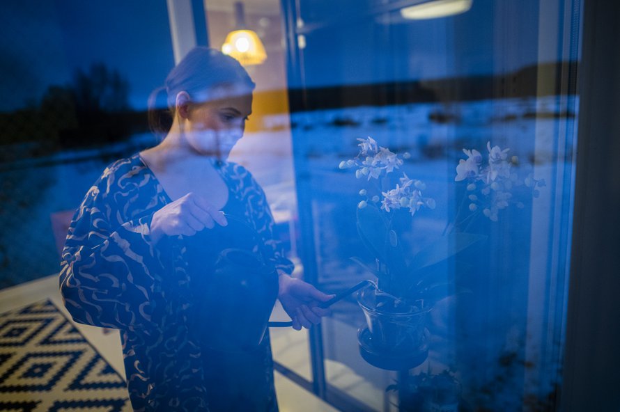 Kasvitkin tulivat muuttokuormassa Helsingistä Utsjoelle. Niiden pitää nyt tottua kaamokseen. Utsjoella aurinko nousee seuraavan kerran tammikuun puolivälin jälkeen. 