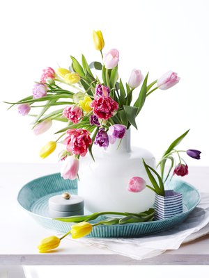 Leikkotulppaanit säilyvät pidempään, kun et kiirehdi kimpun muovikääreen poistamista kukkia maljakkoon laittaessasi.