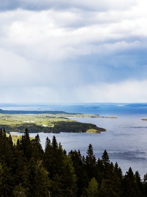 Näkymä Kolilta. Suomen puhdas luonto oli monen vastaajan kiitollisuudenaihe.