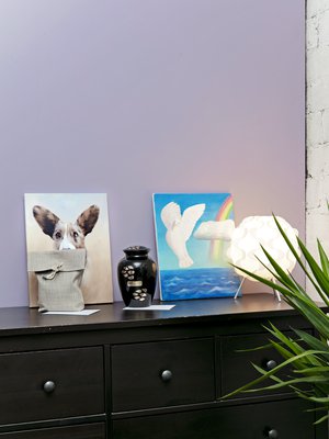 Eläinten tuhkaus on yleistynyt Suomessa. Kirppu-koiran tuhka odottaa omistajaa pellavapussissa.