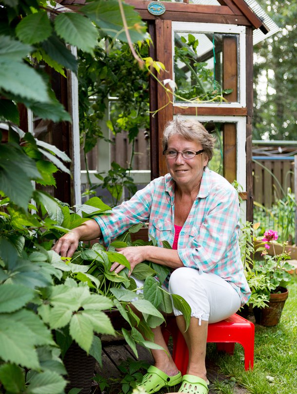 Sinikka kylvää matalien pensaspapulajikkeiden siemeniä suureen ruukkuun. Ruukussa ne saavat rauhan linnuilta, etanoilta ja kotiloilta.