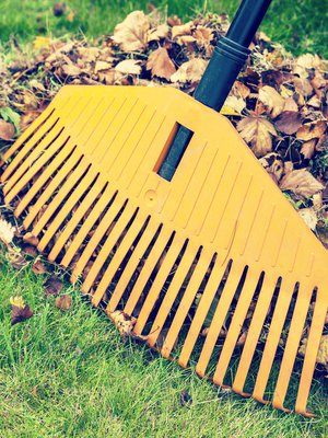 Tämän homman kun jaksaisi tehdä, edes hedelmäpuiden alta.