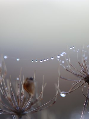 Mieltään voi hoitaa  tekemällä asioita, joista saa voimaa. Esimerkiksi puhumalla, nukkumalla tai kävelemällä metsässä.
