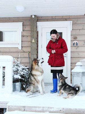 Tarja Leponiemi, alaskan­malamuutti Juri ja länsigöötanmaan­pystykorva Helmi nauttivat talvesta.