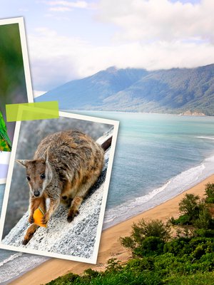 Pikku papukaijat tulivat Queenslandissa hyppelemään hotellihuoneen parvekkeelle kuin varpuset meillä. Wallabi nappasi melonia kädestä.