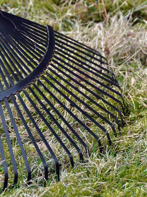 Kärähtikö nurmikko kesähelteillä? Palaneet läikät voi paikata jo syksyllä.