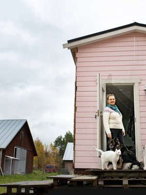 Tervetuloa junanvaunun rungon päälle rakennettuun taloon! Täällä asuvat Sanna, Pyry-kissa ja Melli-koira sekä yläikkunasta kurkkivat Tessa ja Viki-koira. 