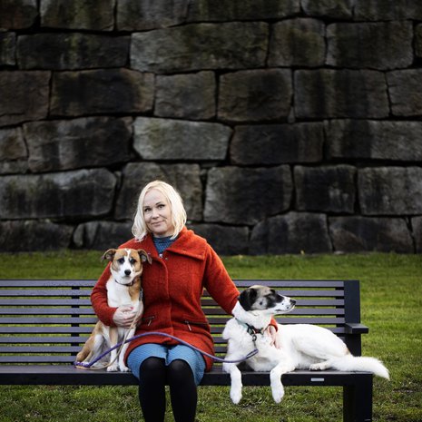 Elisa Aaltolan omat koirat on pelastettu huonoista oloista Romanian kaduilta.