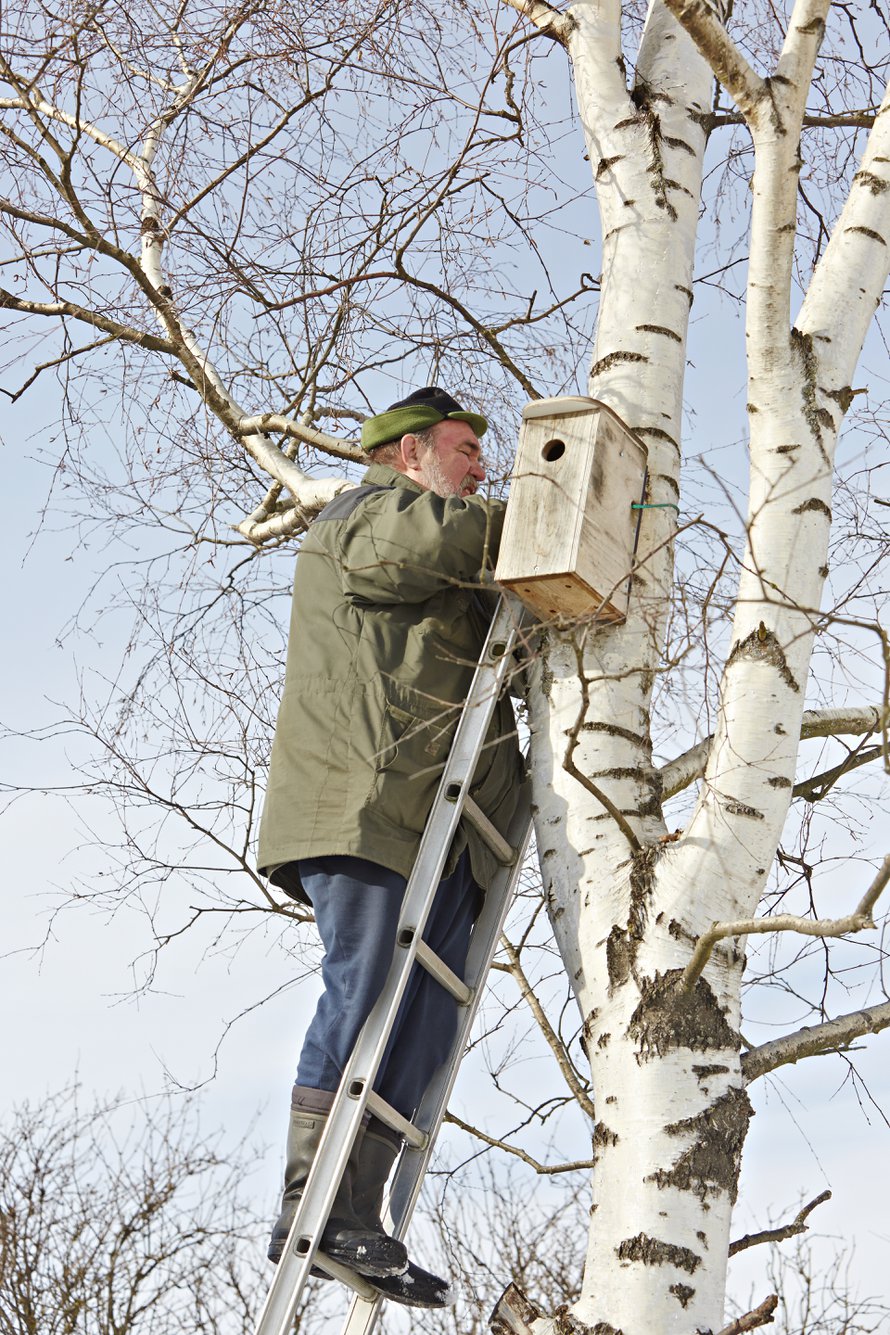 Urpo Koposta kuullaan usein myös Ylen Luontoilloissa. 