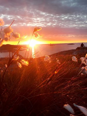 Utö. Kuva Mimmi Jurvanen.