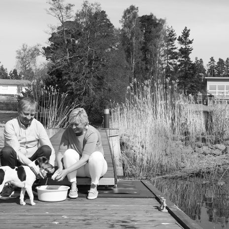 Hjallis Harkimo ja sisko Maria Thelen asuvat naapureina. ”Kesällä tulee varmasti oltua paljon yhdessä, kun minulle tulee uusi koira. Se pääsee leikkimään yhdessä Marian koiran Wifin kanssa”, Hjallis kertoo.