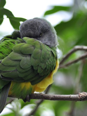 Introvertti kaipaa omaa rauhaa joskus kipeämmin kuin juttuseuraa. Sen ei ole tarkoitus loukata.