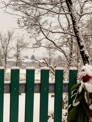 Lauran kotoa mukaan ottamat tavarat mahtuivat pariin Ikea-kassiin.