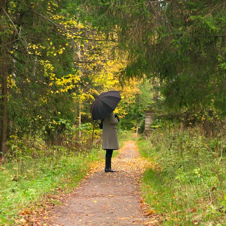 Metsän vehreys vie mielen meditatiiviseen tilaan.