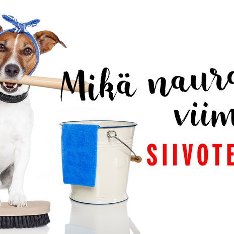 Naurettavaa puuhaa tuo siivoaminen!