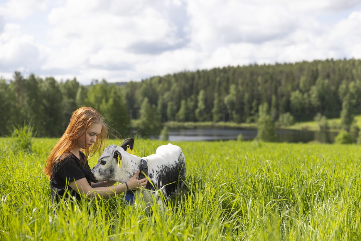 Amanda Oksanen, 17, on lähtöisin Jyväskylästä, mutta opiskelee ja asuu nyt Saarijärvellä. Hänet houkutteli maaseutuyrittäjäksi rakkaus eläimiin ja traktoritöihin.
