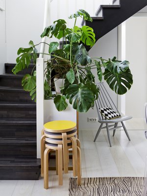 Kuva: <span class="photographer">Riitta Sourander</span>