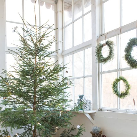 Kuusi viihtyy viileällä kuistilla ja tekee valaistuna kodista tavallistakin kutsuvamman. Luonnonläheiset, vihreät kranssit syntyvät männyn, kuusen ja tuijan oksista sekä mustikanvarvuista.