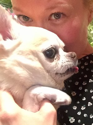 Viimeinen yhteinen joulumme.