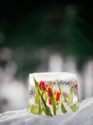 Lyhty tehdään kahden sisäkkäin laitettavan astian avulla. 