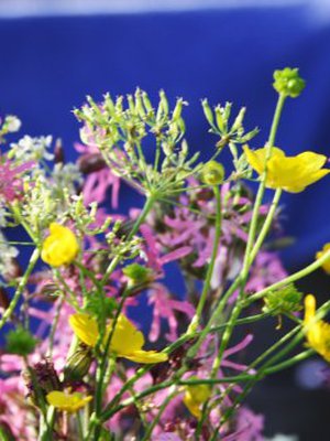 Onni kestää ehkä vain hetken, mutta on sitäkin kauniimpi.