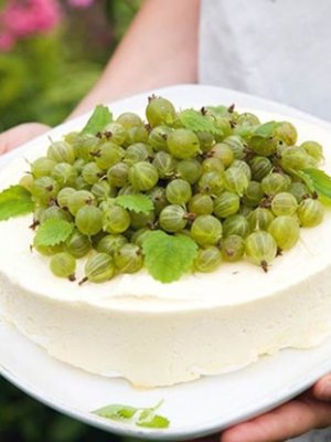 Jäädytetty juustokakku on hartaasti toivottu kesäherkku