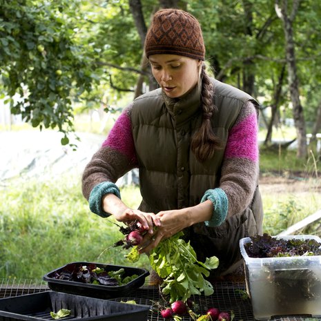 Merja Niemisen mielestä pienellä tilalla kannattaa kasvattaa lajeja, joista saa kauden aikana useamman sadon.