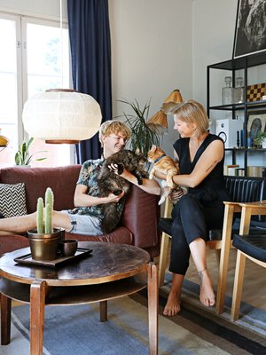 Kissat Teo ja Norr ovat tärkeitä Mia-Irene Sundqvistin ja Henrik Sundströmin tärkeitä perheenjäseniä. Tumma Norr liittyi joukkoon dramaattisella tavalla: se löytyy pahoin loukkaantuneena valtatien varrelta.