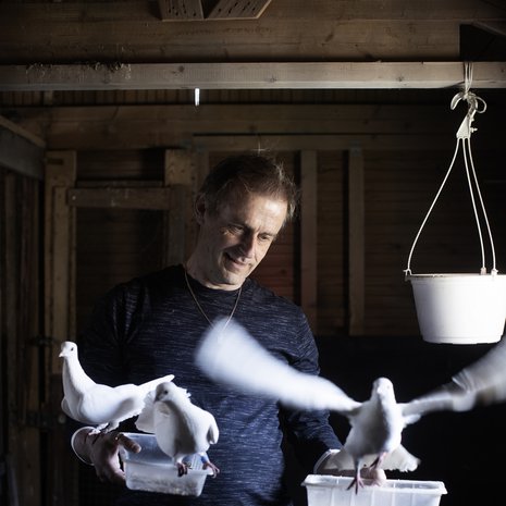 Kailla riittää kotonakin töitä eläinten hoitamisessa. Hän saattaa myös kokeilla niiden kanssa koulutusideoitaan. Piharakennuksen kyyhkyset ovat tottuneet Kain läsnäoloon.