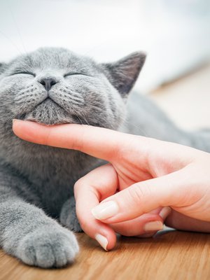 Helliminen ja hymyily – niitä kannattaa lisätä.