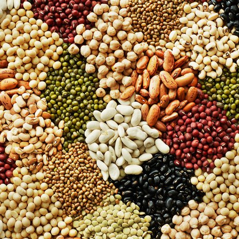 Pavuista saat hyvän proteiinilisän kasvisruokiin. Nauti näistä hernekasvien hedelmistä sellaisenaan tai lisää papuja salaatteihin, keittoihin, murekkeisiin, pataruokiin, paistoksiin ja piirakoihin. 