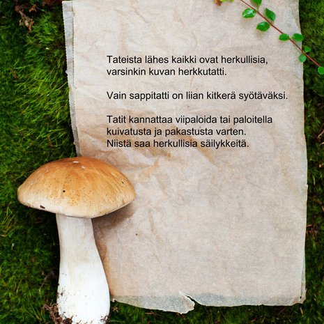 Tateista lähes kaikki ovat herkullisia, varsinkin kuvan herkkutatti.