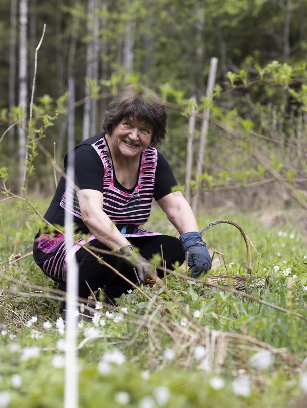 ”Ajattelin, että mitä tahansa maailmassa tapahtuukin, minulla on täällä kaikki. Luonto tarjoaa paljon syömistä, kun sen osaa hakea”, Marketta Horn sanoo.