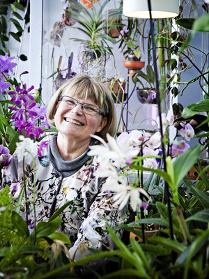 Oili Pentinsaari on eläkkeellä oleva it-alan yrittäjä, joka asuu vanhassa puutalossa Espoossa ja toimittaa Suomen Orkideayhdistyksen lehteä.