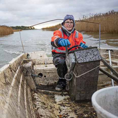 Liisa Vainio, 63, on kolmannen polven kalastaja ja asuu Taivassalossa. Työ koostuu suomukalan kalastuksesta verkoilla, kirjolohen kylmäsavustuksesta ja omien kalajalosteiden kuten maustettujen silakoiden, kalapihvien ja munkkitaikinaan leivottujen ahvenpötkösten valmistuksesta ja myynnistä.