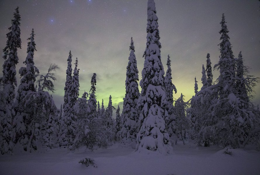 Kun asuu ulkomailla, saattaa alkaa kaivata pimeitä talviaamuja ja lumen tuoksua.