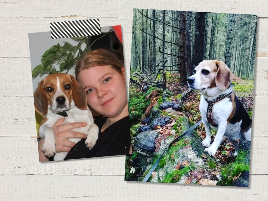 "Joskus tulee olo, että olen jo luovuttanut, enkä edes ansaitse ystävää. Silloin Minni lohduttaa", Katja sanoo.
