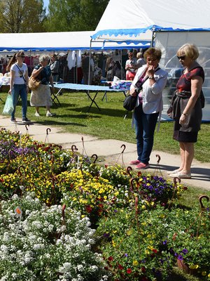 Jo vuosikymmenten ajan puutarhanhoidon kevät Virossa on alkanut Türin kukkamarkkinoilla.