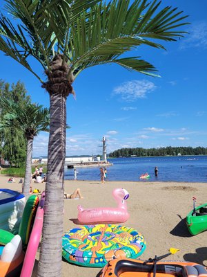 Ei Kreikka, ei Kanaria vaan Kuopio. Väinölänniemen uimaranta, onneksi tutustuimme.