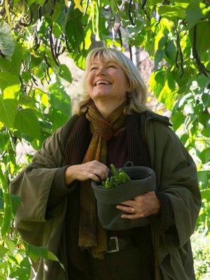 Syksyllä puutarhuri Anne Perheentuvan piha tulvii tuoksuja, värejä ja satoa. Matalat pensaspavut kasvavat papupergolan alaosissa. Salkopavut ja ruusupavut kiipeävät kaaren yläosiin, mistä niitä on helppo poimia.