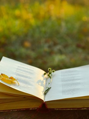 Toisinaan runo voi tarjota juuri ne sanat, jotka surussaan kaipaa kuulla.