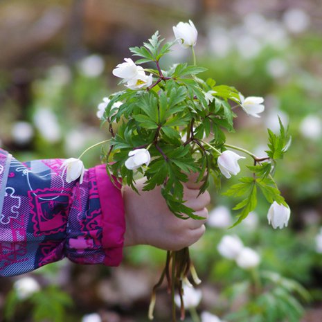 Paljon onnea äiti! Onnea siitä, että saat olla äiti.