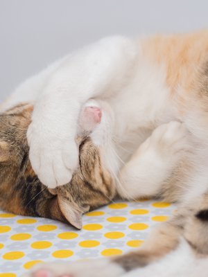 Jos huomaat aina moittivasi itseäsi, on pysähtymisen ja lempeyden opettelun paikka. 