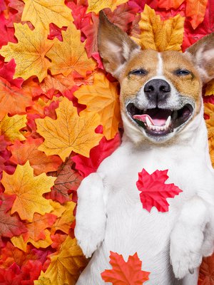 Täydellinen lomatavoite: kelliminen. Voi tuntua vähän tylsältä, mutta niin sen pitääkin.