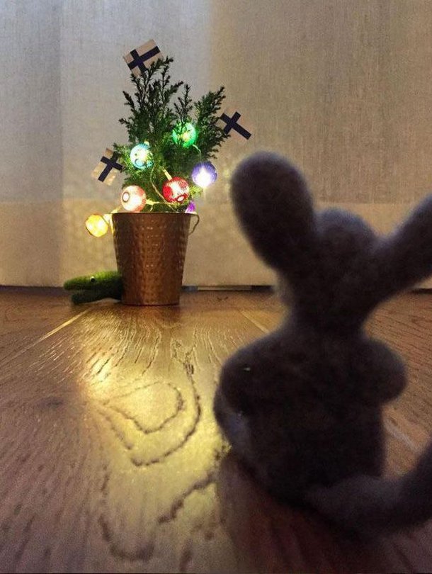 Herra Hiiri pystyttää kuusen jo itsenäisyyspäiväksi.